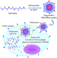 Graphical abstract: Folate-conjugated dually responsive micelles for targeted anticancer drug delivery