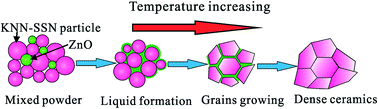 Graphical abstract: Enhanced dielectric breakdown strength and energy storage density in lead-free relaxor ferroelectric ceramics prepared using transition liquid phase sintering