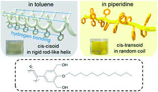 Graphical abstract: Influence of a hydrodynamic environment on chain rigidity, liquid crystallinity, absorptivity, and photoluminescence of hydrogen-bonding-assisted helical poly(phenylacetylene)