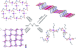 Graphical abstract: Novel organotin complexes derived from 2,2′-selenodiacetic acid: synthesis and biological evaluation