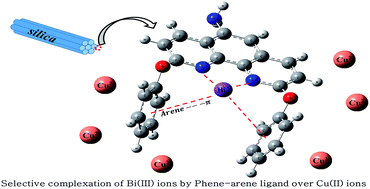 Graphical abstract: Molecular design of a novel ligand for Menshutkin complexation of Bi(iii) from aqueous acidic copper sulfate electrolyte solutions and experimental investigations