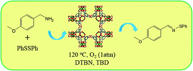 Graphical abstract: Direct synthesis of N-sulfenylimines through oxidative coupling of amines with disulfides/thiols over copper based metal–organic frameworks