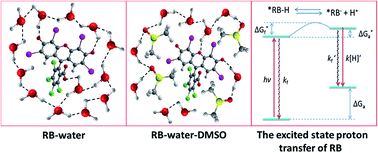 Graphical abstract: Inhibition of the excited-state Rose Bengal (RB) nonradiative process by introducing DMSO for highly efficient photocatalytic hydrogen evolution