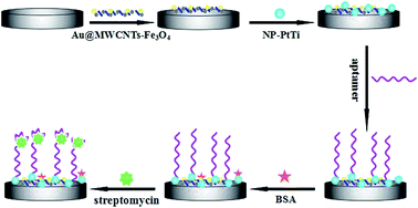 Graphical abstract: A novel electrochemical aptasensor for sensitive detection of streptomycin based on gold nanoparticle-functionalized magnetic multi-walled carbon nanotubes and nanoporous PtTi alloy