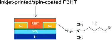 Graphical abstract: Improved performances of inkjet-printed poly(3-hexylthiophene) organic thin-film transistors by inserting an ionic self-assembled monolayer