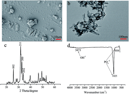 Graphical abstract: Nanohydroxyapatite/cellulose nanocrystals/silk fibroin ternary scaffolds for rat calvarial defect regeneration