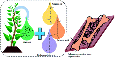 Graphical abstract: Maltitol-based biodegradable polyesters with tailored degradation and controlled release for bone regeneration