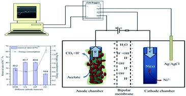 Graphical abstract: Assessment of cathode materials for Ni(ii) reduction in microbial electrolysis cells