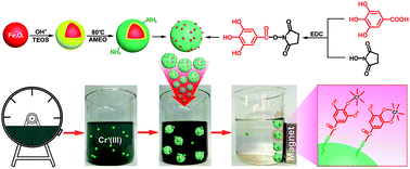 Graphical abstract: Remediation of chromium(iii)-contaminated tannery effluents by using gallic acid-conjugated magnetite nanoparticles