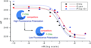 Graphical abstract: Affinity-based fluorescence polarization assay for screening molecules acting on insect ryanodine receptors