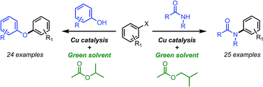 Graphical abstract: Green alternative solvents for the copper-catalysed arylation of phenols and amides