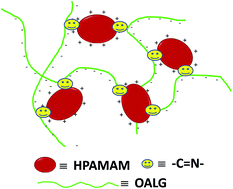 Graphical abstract: A fluorescent, self-healing and pH sensitive hydrogel rapidly fabricated from HPAMAM and oxidized alginate with injectability