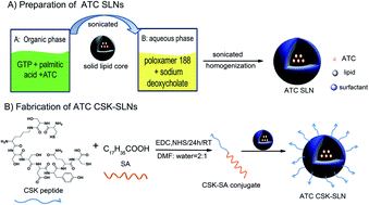 Graphical abstract: Targeted solid lipid nanoparticles with peptide ligand for oral delivery of atorvastatin calcium