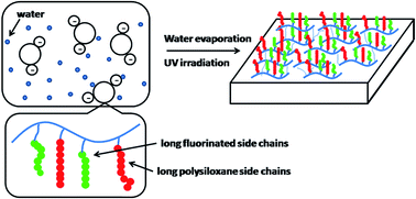 Graphical abstract: Waterborne UV-curable comb-shaped (meth)acrylate graft copolymer containing long fluorinated and/or polysiloxane side chains