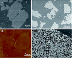 Graphical abstract: Catalyst-free and selective growth of hierarchical GaN nanostructure on the graphene nanosheet