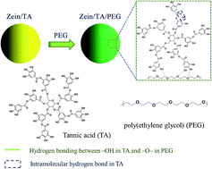 Graphical abstract: pH-Degradable antioxidant nanoparticles based on hydrogen-bonded tannic acid assembly
