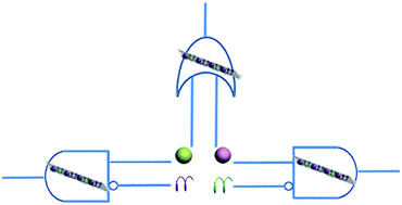 Graphical abstract: Electrochemiluminescent molecular logic gates based on MCNTs for the multiplexed analysis of mercury(ii) and silver(i) ions