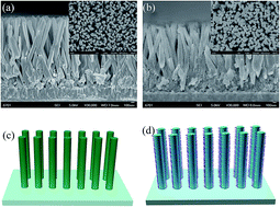 Graphical abstract: Photoelectrochemical properties of PbS quantum dot sensitized TiO2 nanorods photoelectrodes