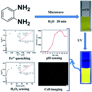 Graphical abstract: Microwave-assisted facile synthesis of yellow fluorescent carbon dots from o-phenylenediamine for cell imaging and sensitive detection of Fe3+ and H2O2
