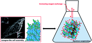 Graphical abstract: Synthesis of a fluorinated graphene oxide–silica nanohybrid: improving oxygen affinity