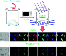 Graphical abstract: Carbon-based dots co-doped with nitrogen and sulfur for Cr(vi) sensing and bioimaging