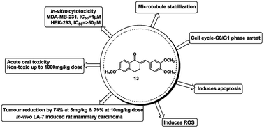 Graphical abstract: 2-(3′,4′-Dimethoxybenzylidene)tetralone induces anti-breast cancer activity through microtubule stabilization and activation of reactive oxygen species