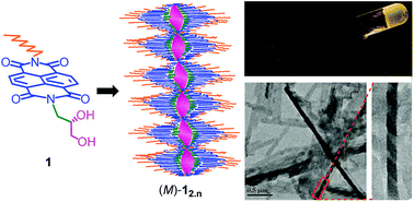 Graphical abstract: Helical supramolecular organization of a 1,2-diol appended naphthalene diimide organogelator via an extended intermolecular H-bonding network