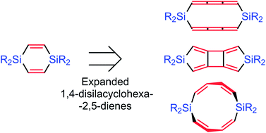 Graphical abstract: Expanding the (cross-)hyperconjugation of 1,4-disilacyclohexa-2,5-dienes to larger monomers and oligomers: a computational investigation