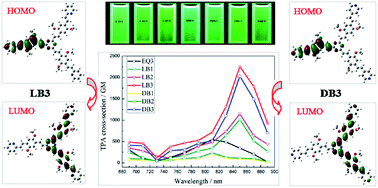 Graphical abstract: Novel A–(π–D–π–A)1–3 branched fluorophores displaying high two-photon absorption