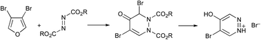 Graphical abstract: Novel reaction of 3,4-dibromofuran with azo diesters to give tetrahydropyridazinones