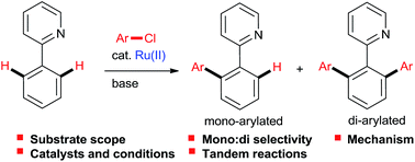 Graphical abstract: Ruthenium-catalyzed direct arylations with aryl chlorides