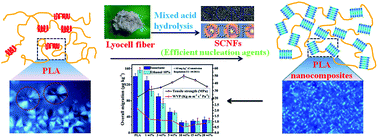 Graphical abstract: Polylactic acid nanocomposite films with spherical nanocelluloses as efficient nucleation agents: effects on crystallization, mechanical and thermal properties