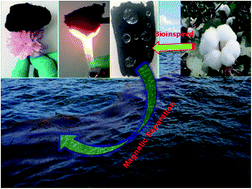 Graphical abstract: Eco-friendly fabrication of sponge-like magnetically carbonaceous fiber aerogel for high-efficiency oil–water separation