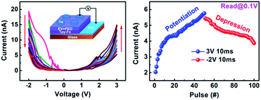 Graphical abstract: An organic terpyridyl-iron polymer based memristor for synaptic plasticity and learning behavior simulation