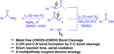 Graphical abstract: Iodine-catalyzed oxidative C–C bond cleavage for benzoic acids and benzamides from alkyl aryl ketones