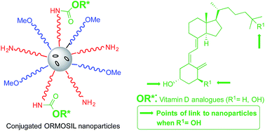 Graphical abstract: Preparation of ORMOSIL nanoparticles conjugated with vitamin D3 analogues and their biological evaluation