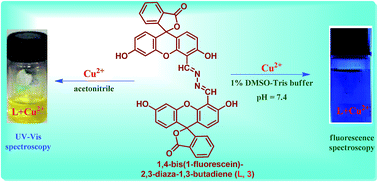 Graphical abstract: A colorimetric and fluorometric investigation of Cu(ii) ion in aqueous medium with a fluorescein-based chemosensor