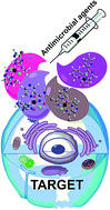 Graphical abstract: Coordination chemistry of pyrazine derivatives analogues of PZA: design, synthesis, characterization and biological activity