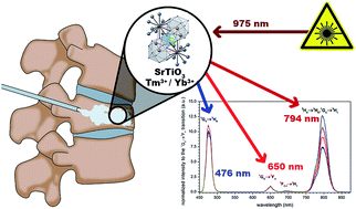 Graphical abstract: Up-conversion emission and in vitro cytotoxicity characterization of blue emitting, biocompatible SrTiO3 nanoparticles activated with Tm3+ and Yb3+ ions