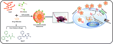 Graphical abstract: Novel biotin-functionalized lipidic nanocarriers for encapsulating BpT and Bp4eT iron chelators: evaluation of potential anti-tumour efficacy by in vitro, in vivo and pharmacokinetic studies in A549 mice models