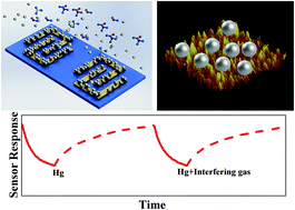 Graphical abstract: A silver electrode based surface acoustic wave (SAW) mercury vapor sensor: a physio-chemical and analytical investigation