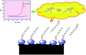 Graphical abstract: Positively charged carbon nanoparticulate/sodium dodecyl sulphate bilayer electrode for extraction and voltammetric determination of ciprofloxacin in real samples