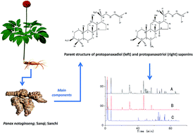Graphical abstract: Structure-based prediction of CAD response factors of dammarane-type tetracyclic triterpenoid saponins and its application to the analysis of saponin contents in raw and processed Panax notoginseng