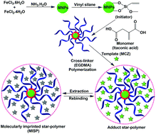 Graphical abstract: Molecularly imprinted star polymer-modified superparamagnetic iron oxide nanoparticle for trace level sensing and separation of mancozeb