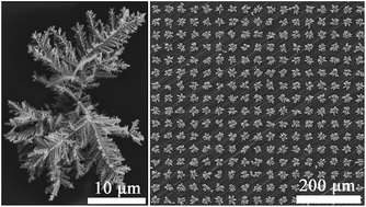 Graphical abstract: Ordered arrays of Ag nanodendrite clusters as effective surface-enhanced Raman scattering substrates