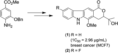 Graphical abstract: The first total synthesis of potent antitumoral (±)-mafaicheenamine A, unnatural 6-fluoromafaicheenamine A and expedient synthesis of clausine E