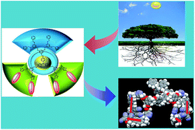 Graphical abstract: Synthesis of asymmetric dendrimers with controllable chromophore concentration and improved electro-optical performance