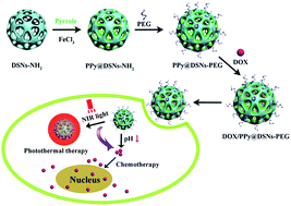 Graphical abstract: Polypyrrole confined in dendrimer-like silica nanoparticles for combined photothermal and chemotherapy of cancer
