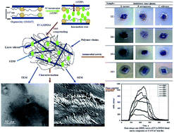 Graphical abstract: Investigation of morphology, mechanical, thermal and flame retardant properties of an EVA/EPDM blend by combination of organoclay with Na+-tripolyphosphate