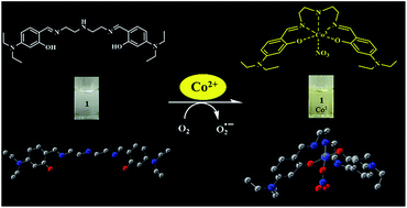 Graphical abstract: Highly selective and sensitive colorimetric chemosensor for detection of Co2+ in a near-perfect aqueous solution